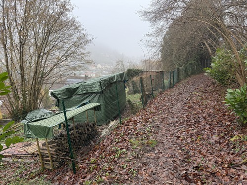 Nous dominons déjà Elbeuf et les maisons de la rue des Jardins, mais nous avons une dernière montée avant de rejoindre le parc Saint-Cyr.