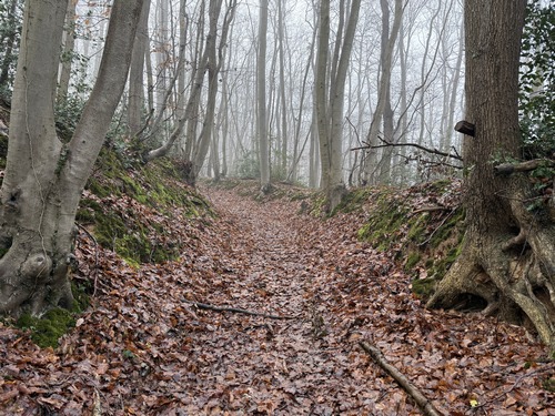 Dernière montée sur les Monts le Comte avant de redescendre vers Elbeuf.