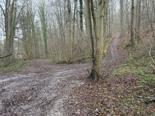 Nous fermons la boucle ici: tout à l'heure nous étions monté à droite, nous descendons maintenant sur nos pas, tout droit.