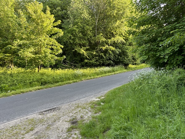 Nous allons suivre la D267 sur 500 mètres, avant de tourner sur le premier chemin à droite.