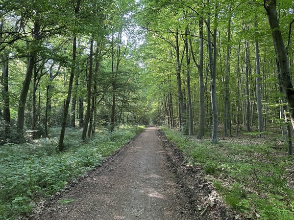 Nous prenons la direction du carrefour Saint Georges.