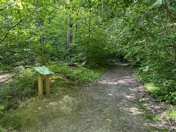 Nous longeons quelque temps le Sentier Botanique, ponctué de panneaux de découverte de la forêt.