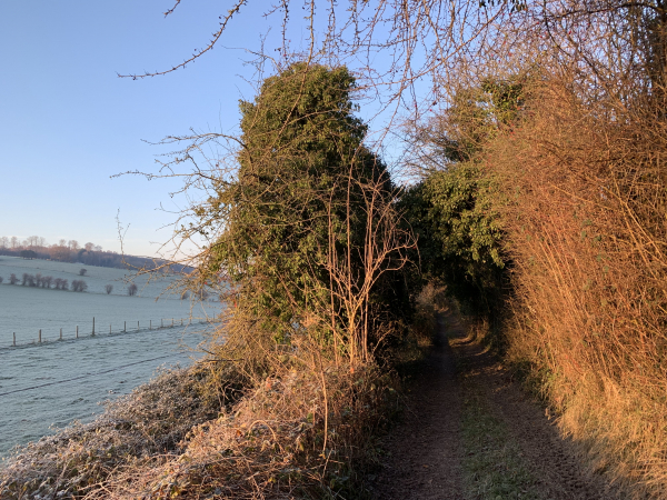 Les Grandes Ventes, nous longeons la Basse Canne aux pieds des Basses Brehoulles.