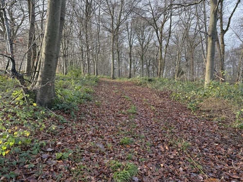 Nous sommes sur les hauteurs du bois, non loin de la ferme de la Mare.