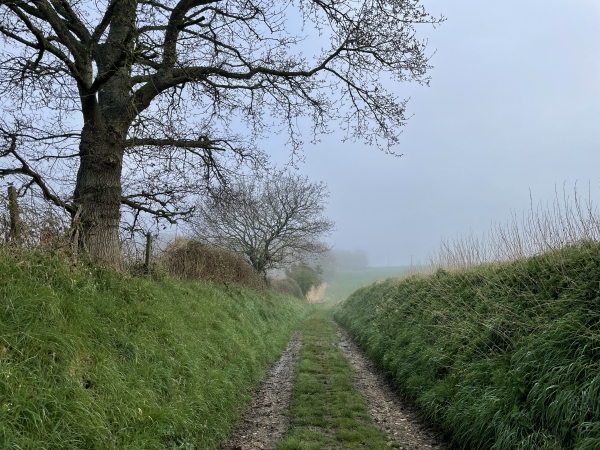 Nous partons du parking du gymnase de la rue de Bad Nenndorf, et suivons le chemin de la plaine du Moulin de Galleville.