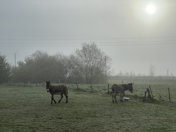 Nous n'entrons pas dans le hameau, et tournons pour traverser la D20.
