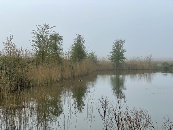 Mare en bordure de la route de la Fresnay.