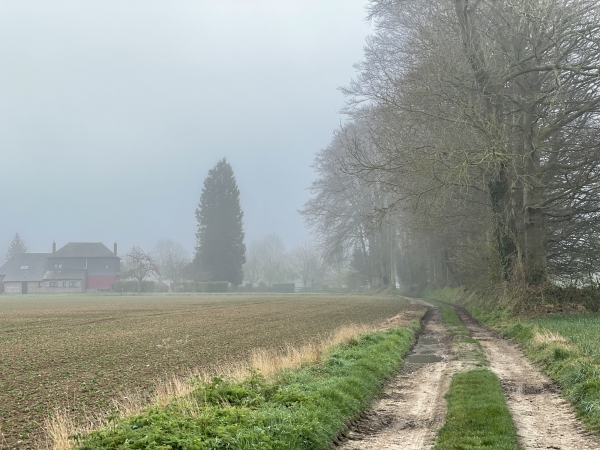 A Bosc Mare, que l'on devine en face, nous allons quitter le chemin pour suivre la rue du Champ de Course.