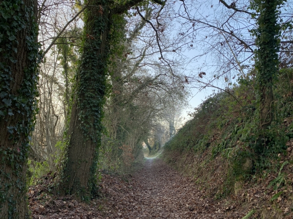 Chemin de la Girafe au niveau de l'ancien moulin de la Girafe.