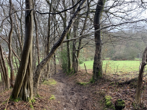 GR 25b, descente vers Epinay.