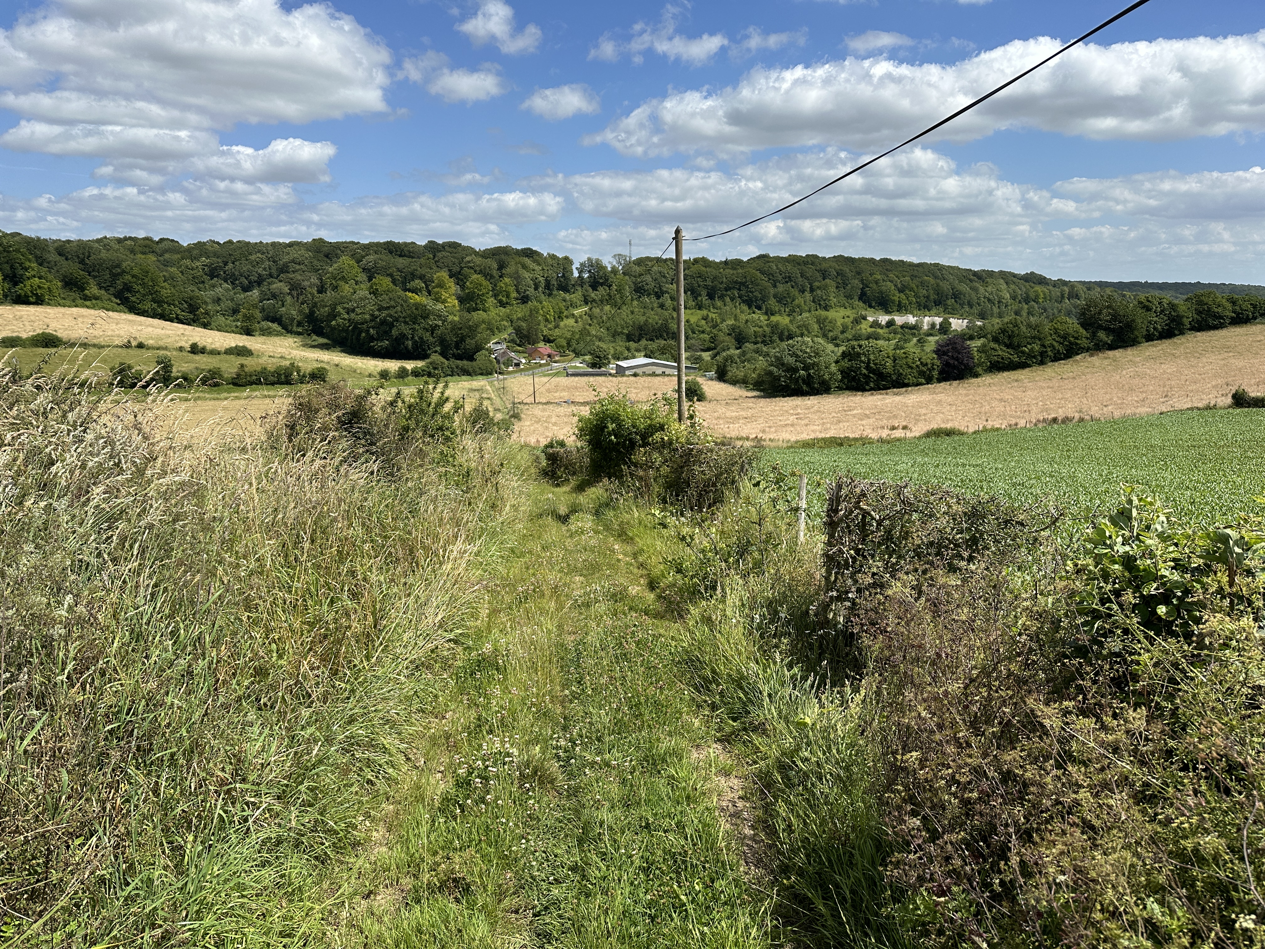 Après St-Aignan, nous traversons le vallon de la Ferme Perdue en direction du bois, en face.