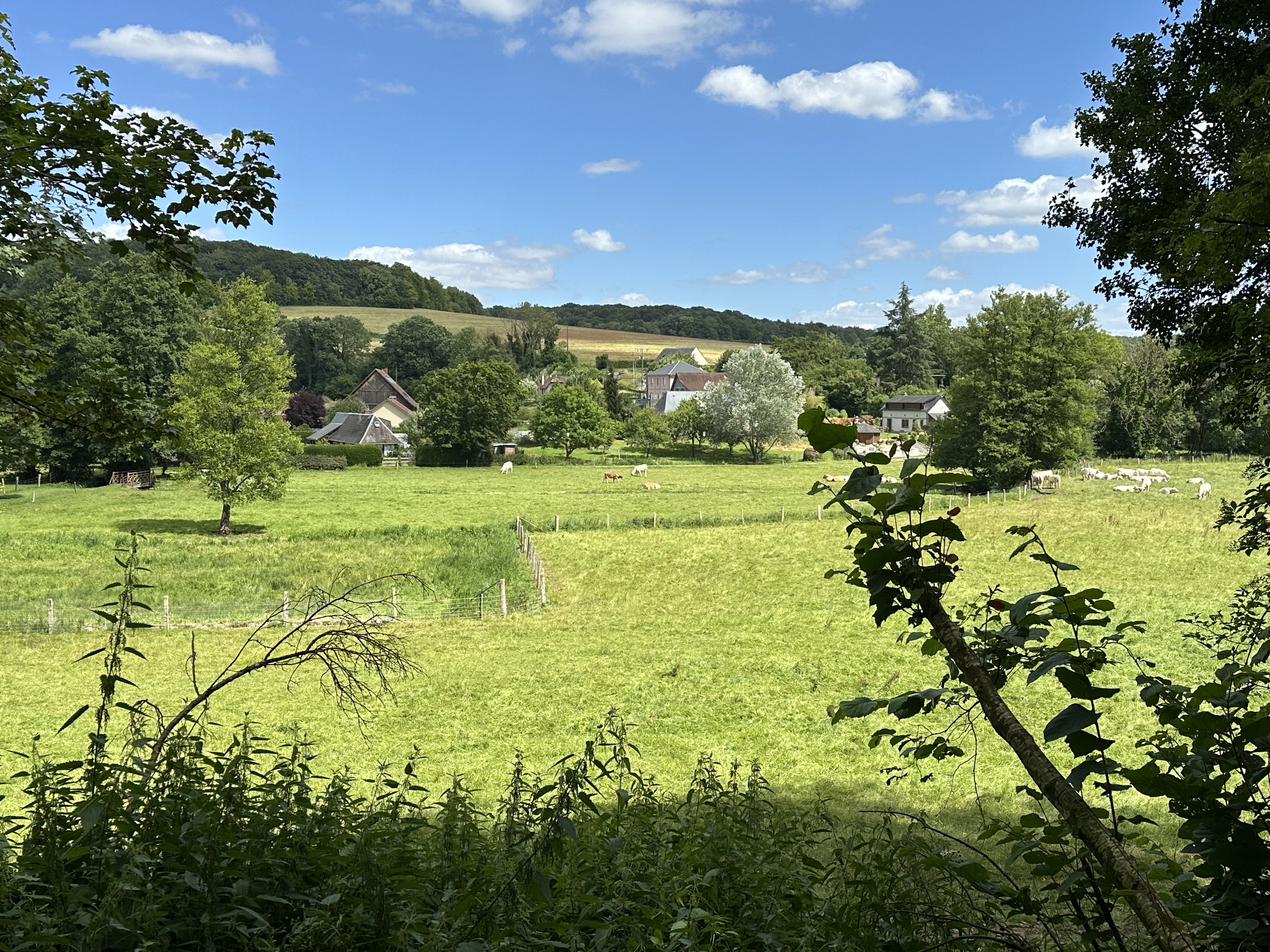 Nous descendons dans la délicieuse vallée du Héron. On distingue le hameau du Bas Tot.