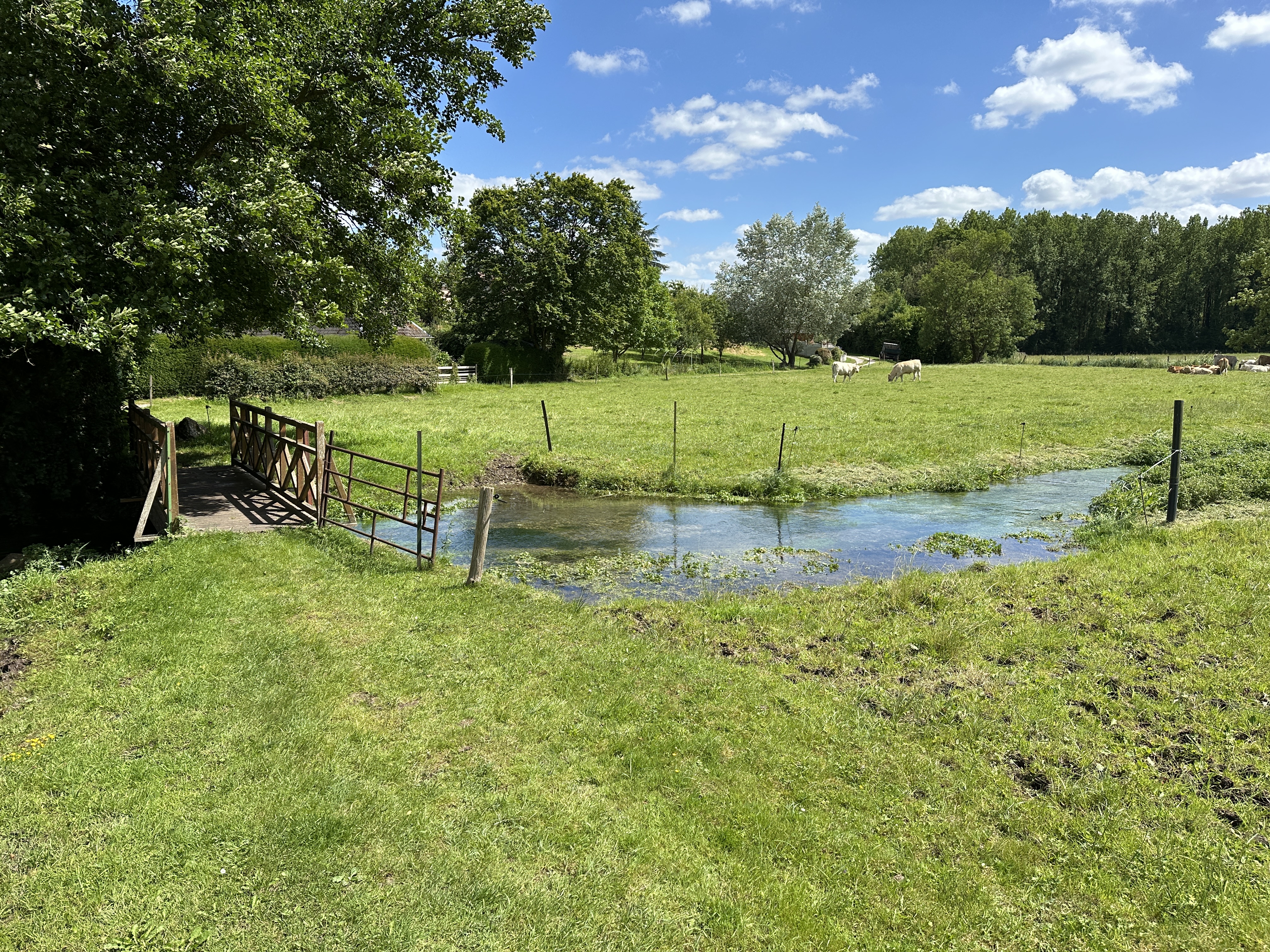 Nous ne résistons pas au plaisir de faire un petit aller-retour jusqu'à la rivière, près de l'ancien moulin.