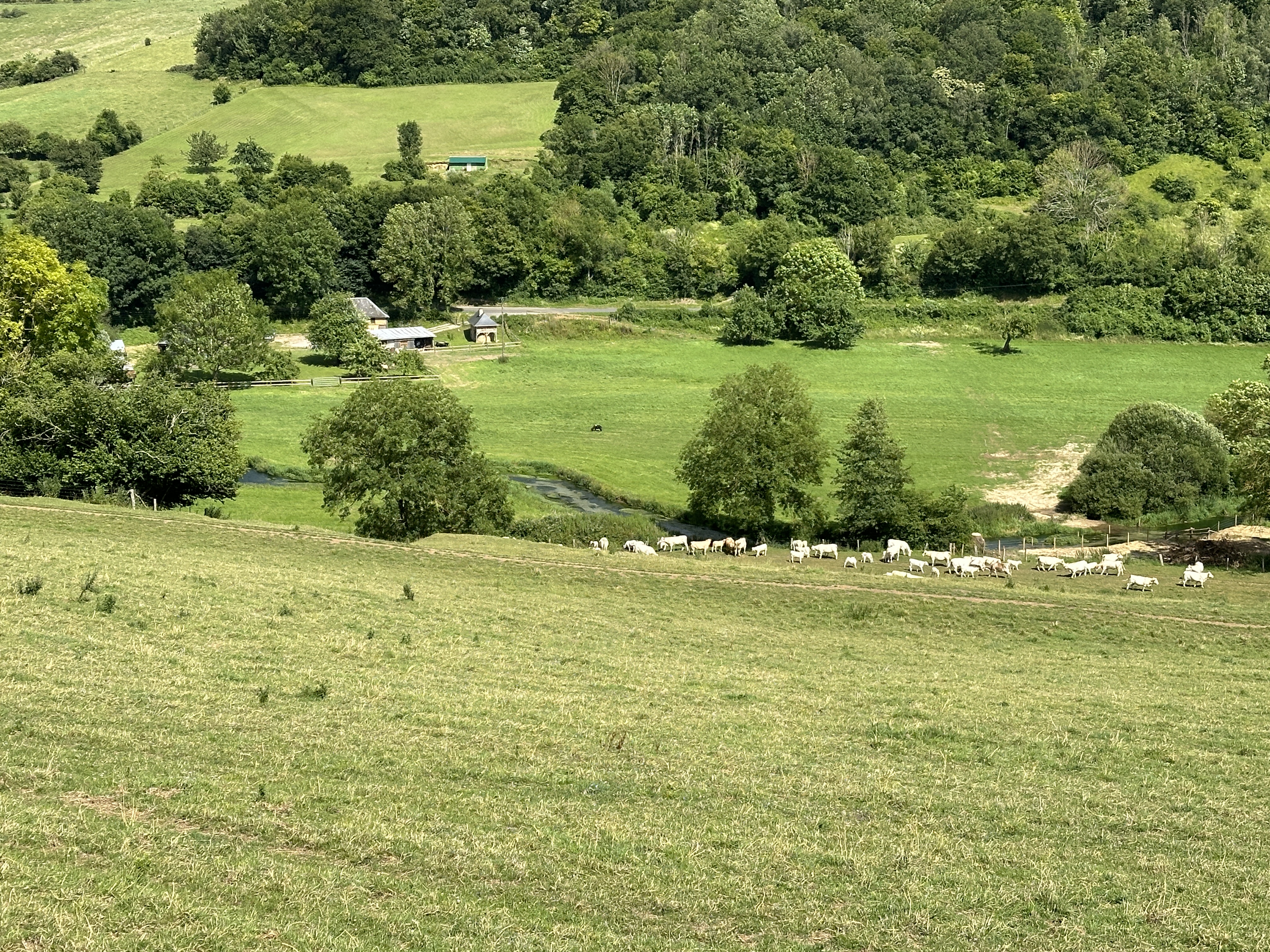 Paysages de la vallée du Héron. Le Héron (ou Héronchelle) est un affluent de l'Andelle, sous affluent de la Seine.