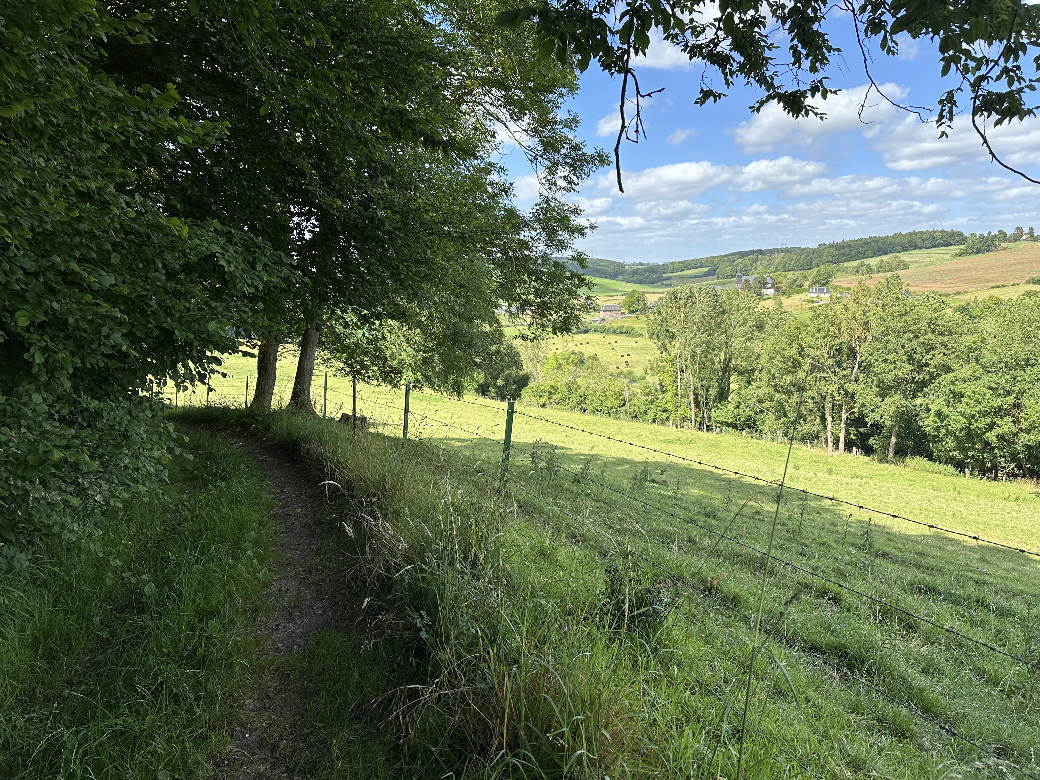 Passage boisé sur le chemin de la Côte du Héron.