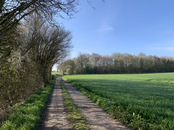 Nous sommes maintenant sur le chemin qui nous conduit jusqu'à Maubuisson. Il nous faudra attendre la Côte de la Quevrue, entre les bois de Maubuisson et de Loquerais, pour suivre une route sur quelques dizaines de mètres. Tout le reste du circuit se fait les chemins que l'on voit sur ces photos.