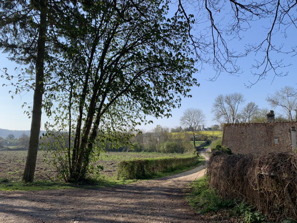 Nous sommes en lisière de la forêt, au lieu-dit La Briocherie.