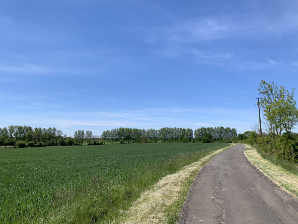 Nous quittons le centre de Sévigny par la rue du Lot du Merisier.