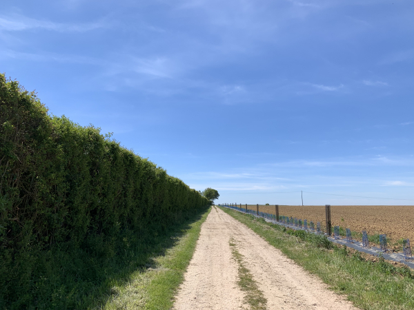 Chemin de Chiffreville.