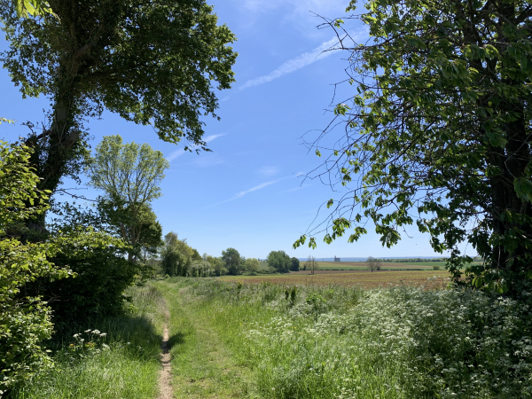 Chemin des Fontaines Thiot.