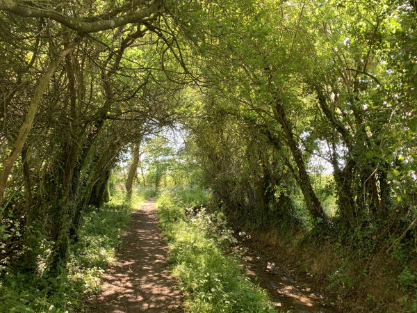 Chemin des Fontaines Thiot.