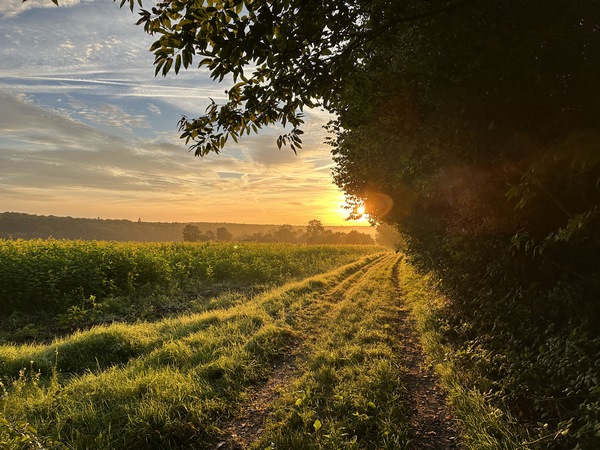 Je sors du bois en même temps que le soleil. Je vais tourner à gauche pour rejoindre le hameau des Epinais.