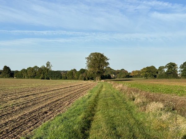 Entre Touville et Bosc-Renoult, les chemins de plaines sont tout aussi agréables que les chemins des bois.
