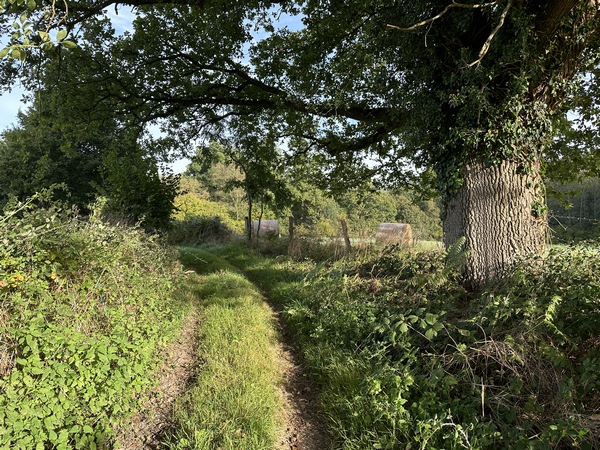 Qu'est-ce que les chemins de ce circuit sont agréables ! J'aurais pu prendre des photos par centaines. Le soleil d'une belle journée d'automne ne nuit pas non plus...
