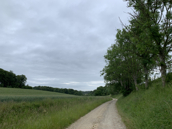 Peu après la sortie du bourg, nous entrons dans le long chemin de la Source qui descend vers le Fond de Cuignet et va nous conduire jusqu'à Barques.