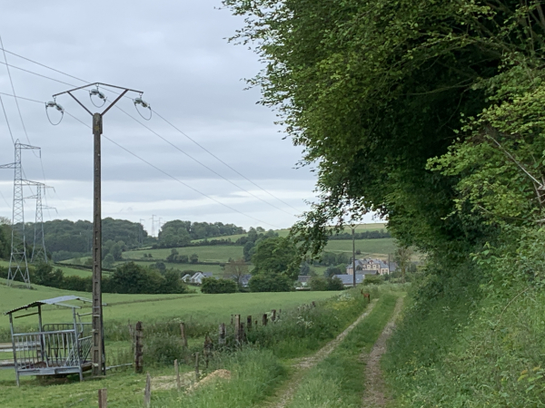 A 100 mètres devant nous sur le chemin, une jeune biche nous regarde. Elle va sauter tranquillement dans le champs de colza en contrebas du chemin et disparaître.