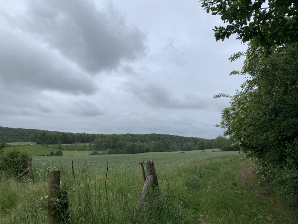 Le chemin de Tous Vents domine la vallée de Misère.