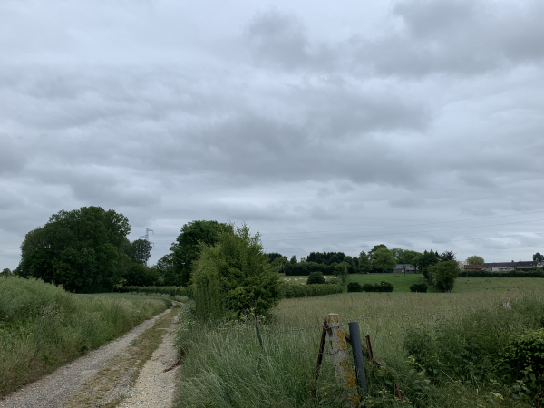 Le chemin de la Plaine d'Illois débouche sur le chemin du Fond Doré qui va nous conduire jusqu'à l'entrée d'Illois.