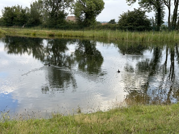 Mare de la rue de la Mare en Pierre.