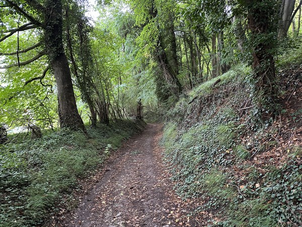 Nous descendons vers la vallée.