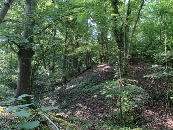 Oppidum du Malassy. On distingue facilement un large fossé et une motte au sommet du Malassy. Il s'agit sans doute des vestiges des fortifications Normandes vaincues par le roi des Francs Louis Le Gros. (voir Gasny sur Wikipedia)