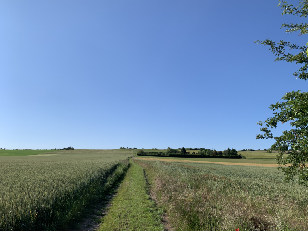 Nous montons vers les coteaux de la Seine.