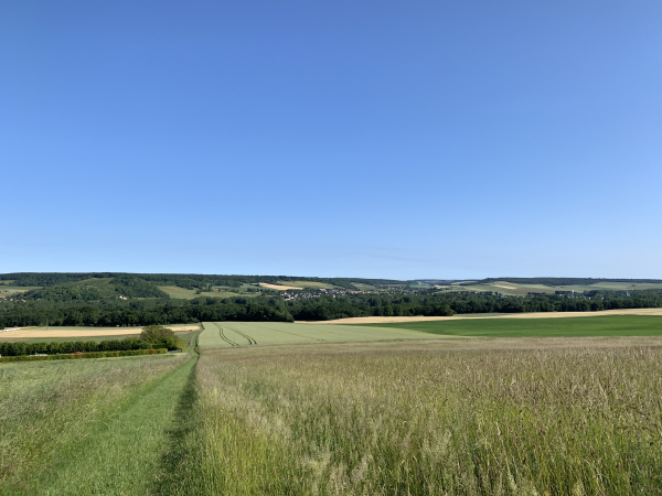 Nous sommes arrivés au sommet, regard arrière vers la vallée de l'Epte et Gasny.