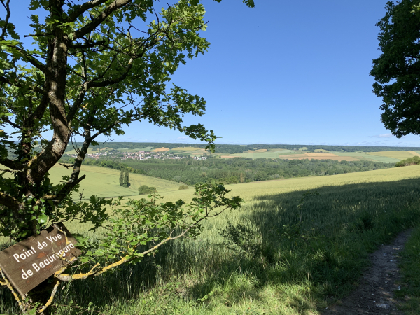 En lisière de la forêt régionale de la Roche-Guyon, nous voyons Gasny au creux de la vallée.