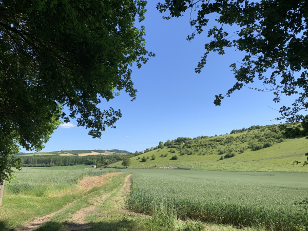 Nous sortons de la forêt de la Roche-Guyon et arrivons à Amenucourt.