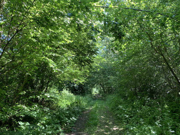Nous sommes dans les marais de l'Epte, à la Glaisière, en direction de Fourges.