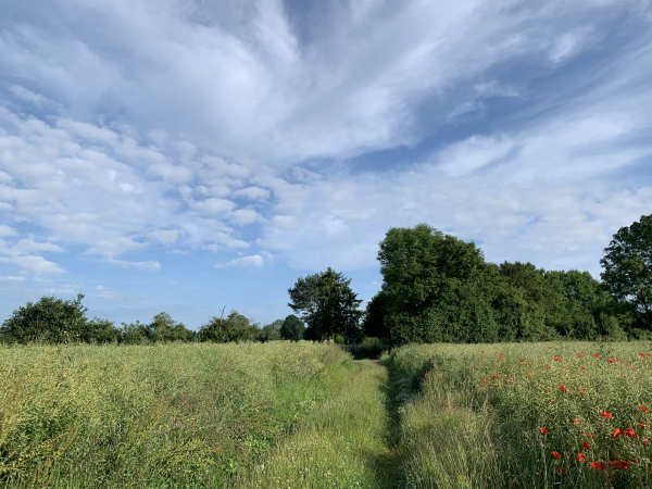 A nouveau sur le GR224 RG, nous arrivons sur le plateau.