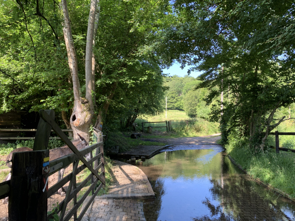 Nous arrivons au gué, au pied du bois de la Salle. Créé en 1830, il a été superbement réaménagé.