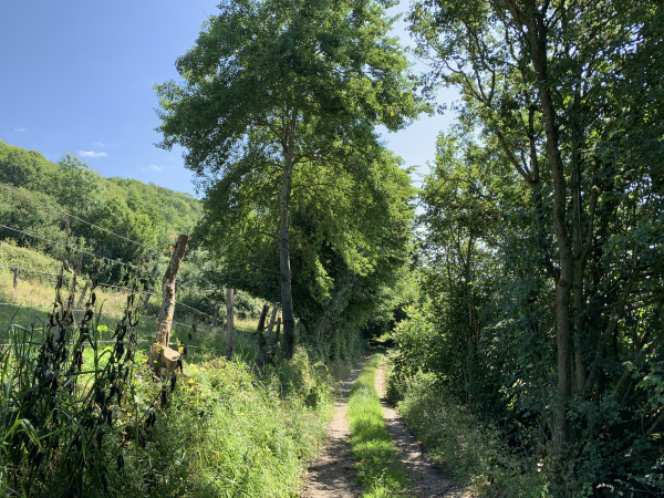 Nous suivons maintenant le chemin du Gué.