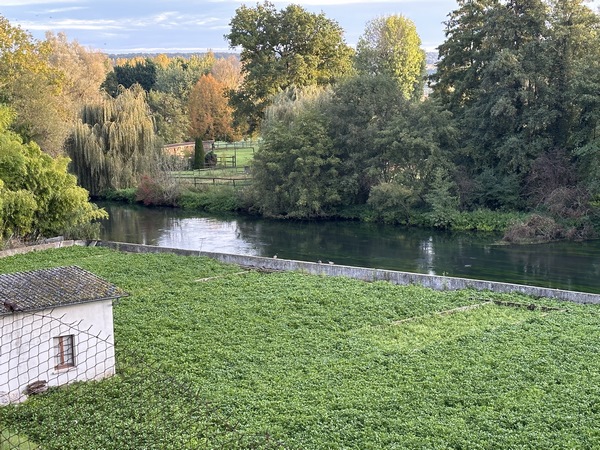 Nous marchons quelques mètres sur la D71, le long d'une cressonnière au bord de l'Eure. Ca fait plaisir de voir que toutes les cressonnières ne sont pas abandonnées en Normandie...