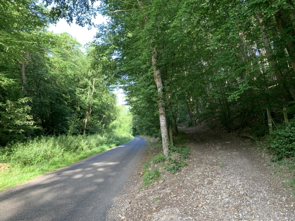 Nous quittons la route du Moulin Chapelle pour suivre le chemin qui monte dans le bois vers les Marettes.