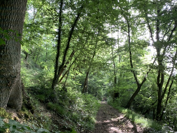 Après les Marettes et un bref passage sur la D23, nous descendons maintenant vers la Risle.