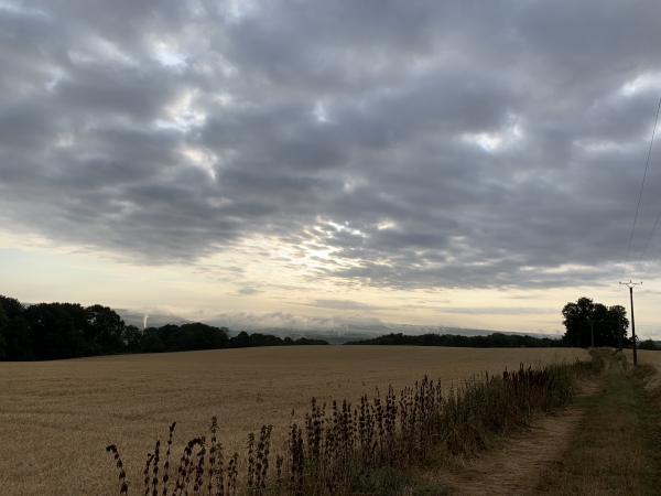 Nous prenons le chemin du bois de Jeufosse qui domine ici la vallée de la Seine.