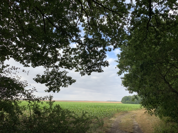 Nous sortons du bois et marchons en direction des Rotoirs.