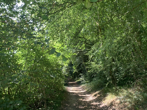 Nous quittons le chemin de Lavieux pour monter sur la Côte de Caveaumont.