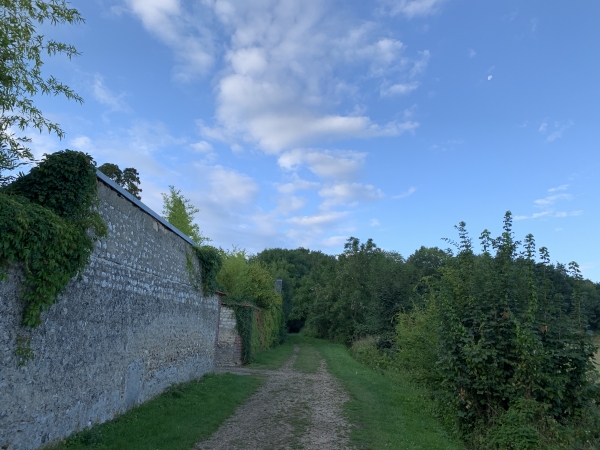 Nous quittons le bourg de St-Pierre-la-Garenne par le chemin qui monte vers le bois de la Fontaine.